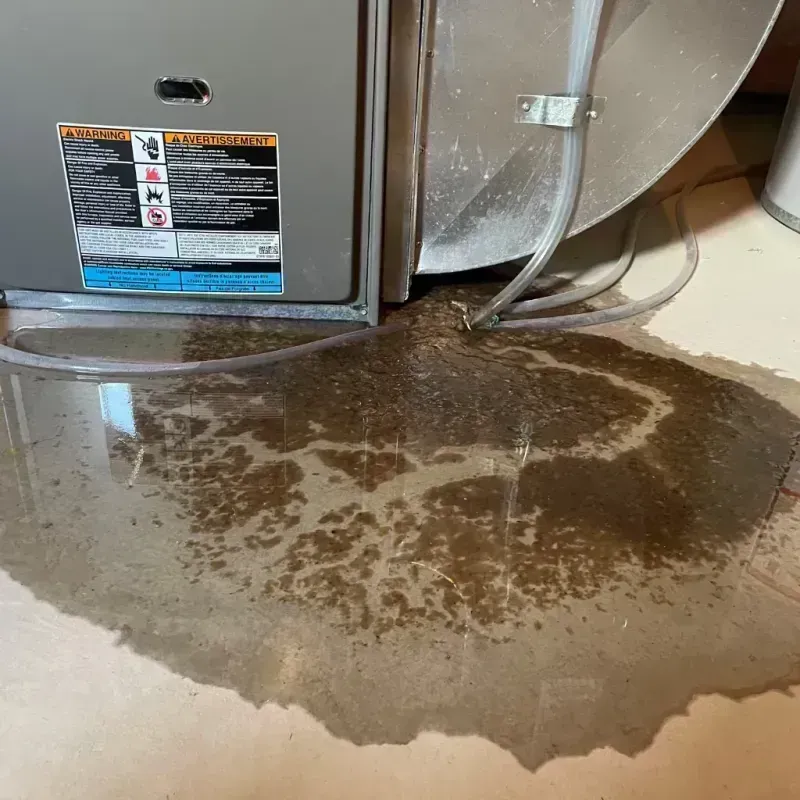 Appliance Leak Cleanup in The Crossings, FL